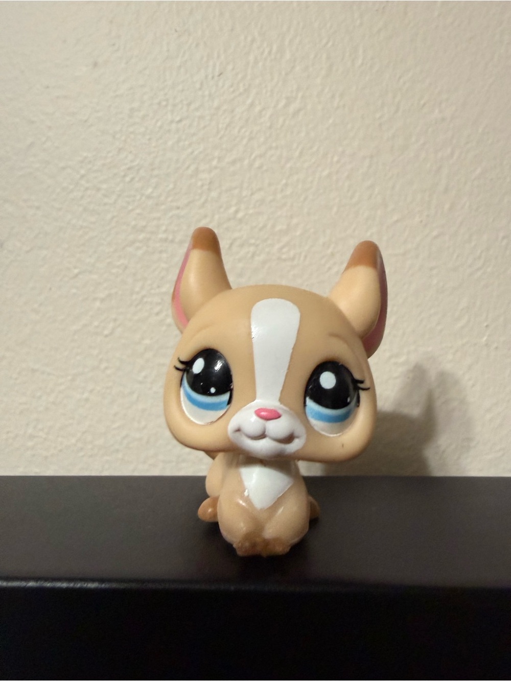 Littlest Pet Shop Chinchilla #2242 Tan White Blue Eyes LPS Hasbro